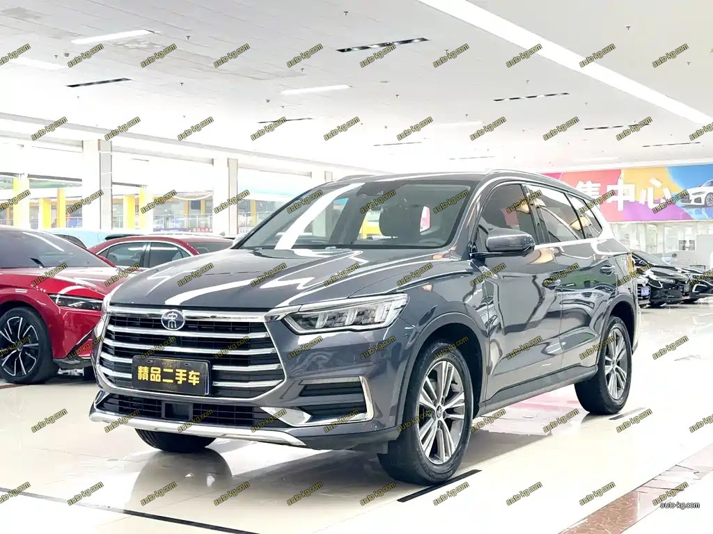 BYD Pro 2020