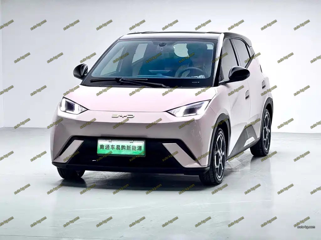 BYD Seagull 2025