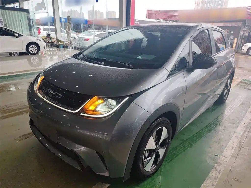 BYD Dolphin 2024