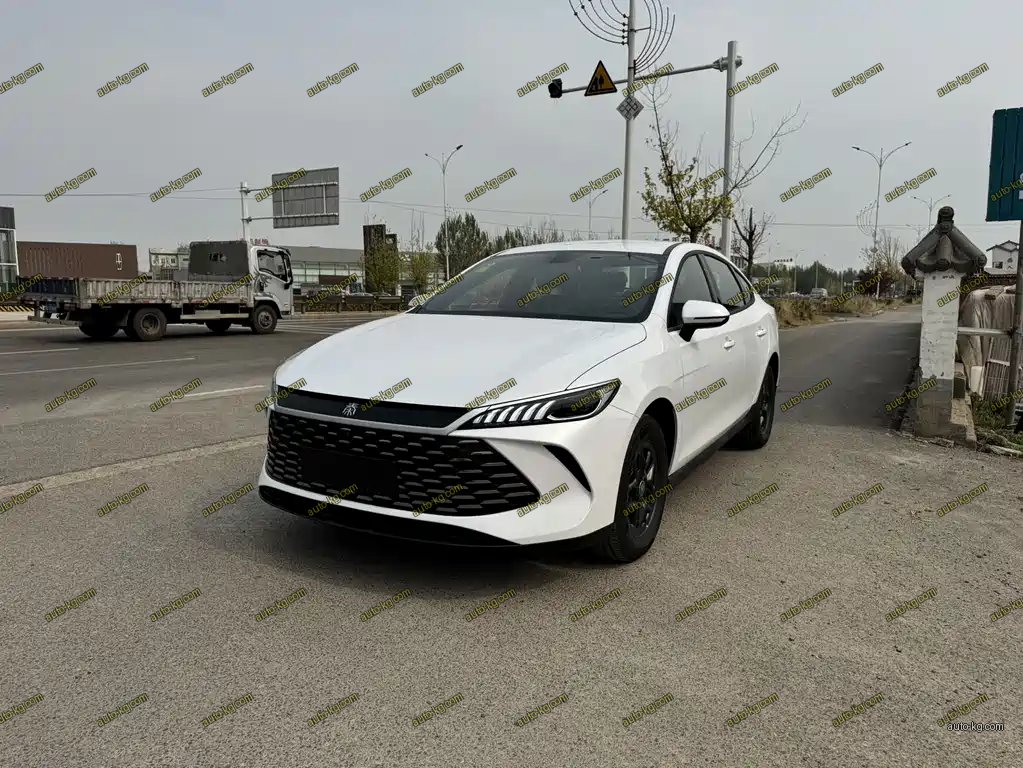 BYD Qin PLUS 2026