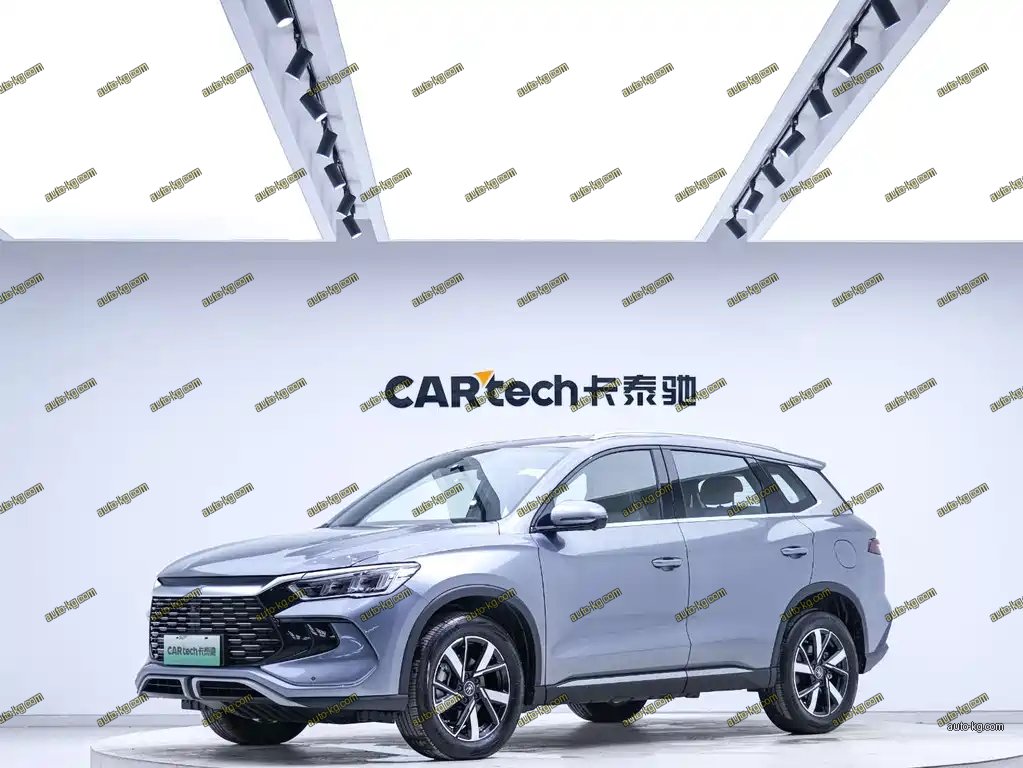 BYD Pro New Energy 2024