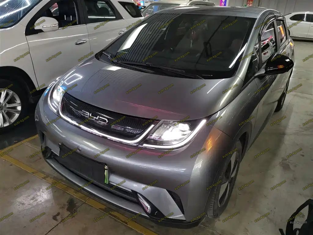 BYD Dolphin 2023