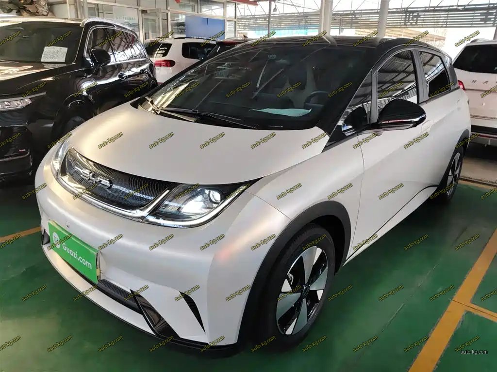 BYD Dolphin 2024