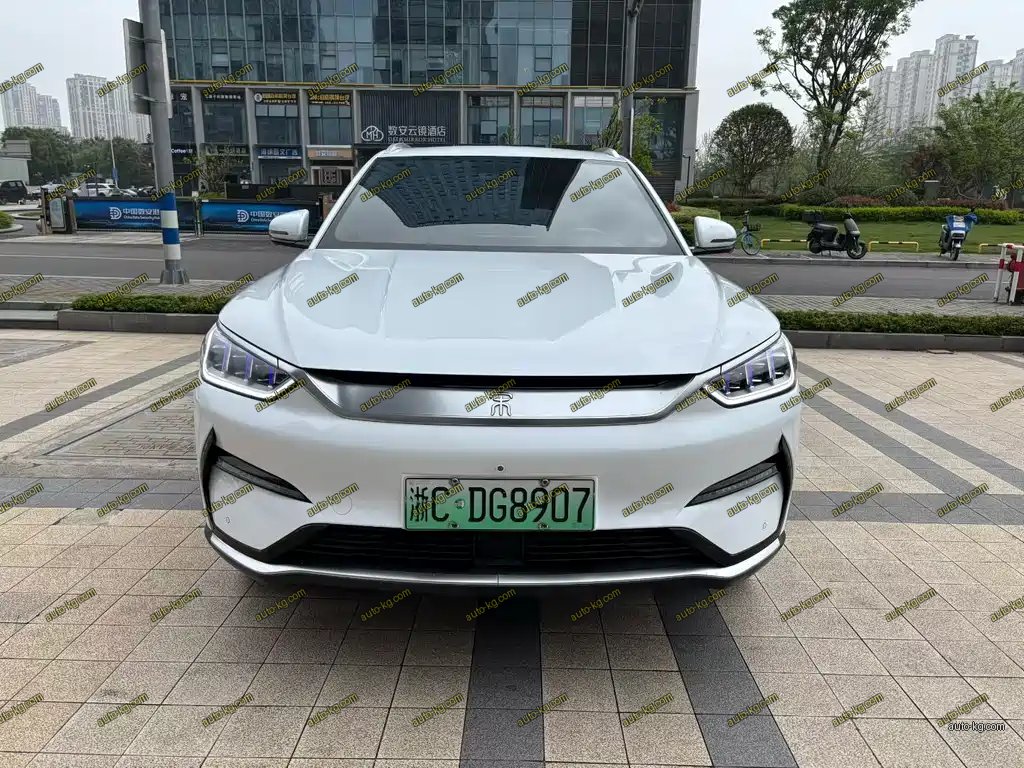 BYD PLUS New Energy 2021