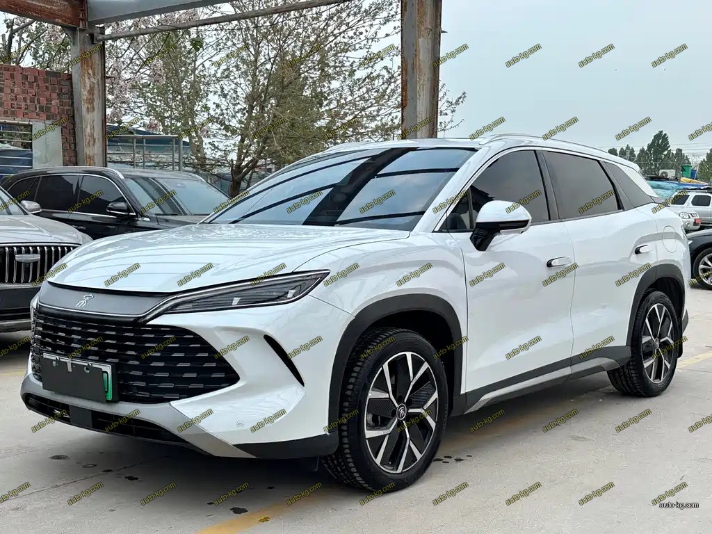 BYD L DM-i 2024