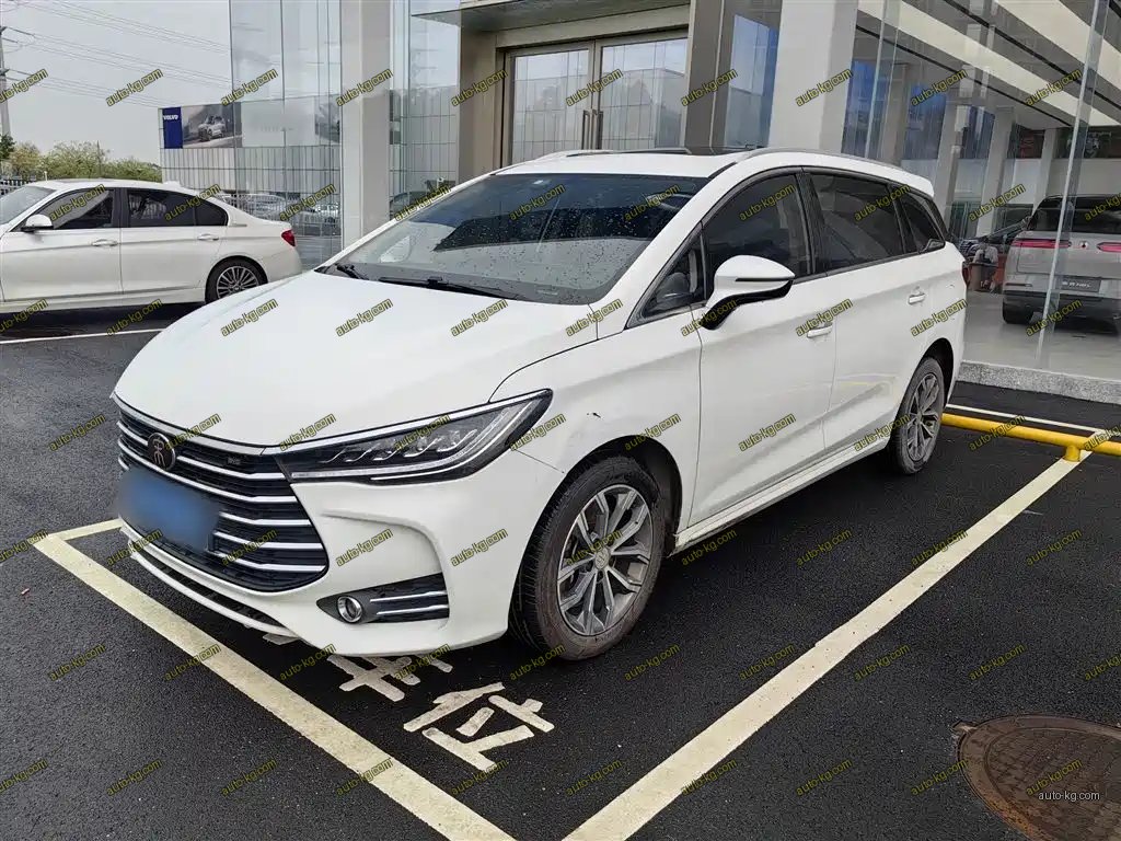 BYD MAX 2020