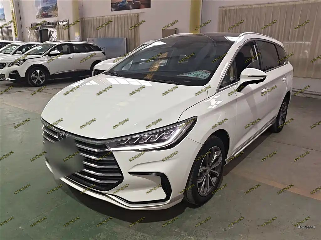 BYD MAX 2021