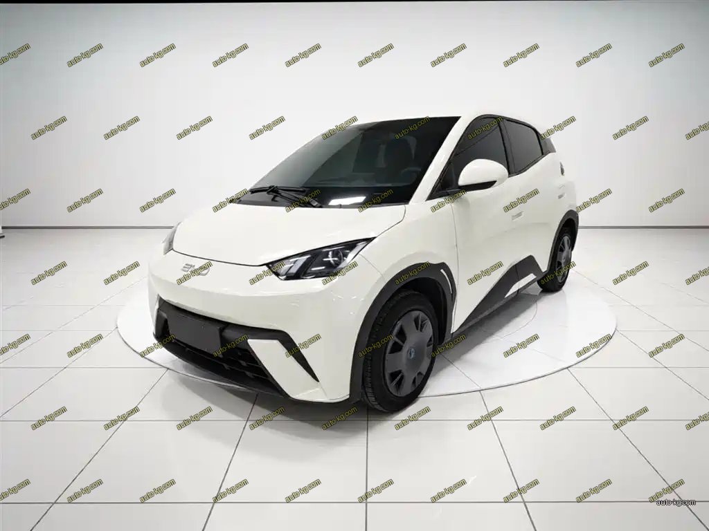 BYD Seagull 2025