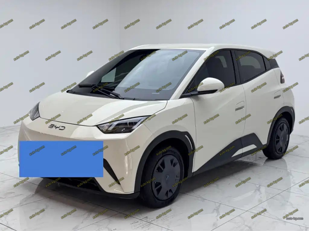 BYD Seagull 2024