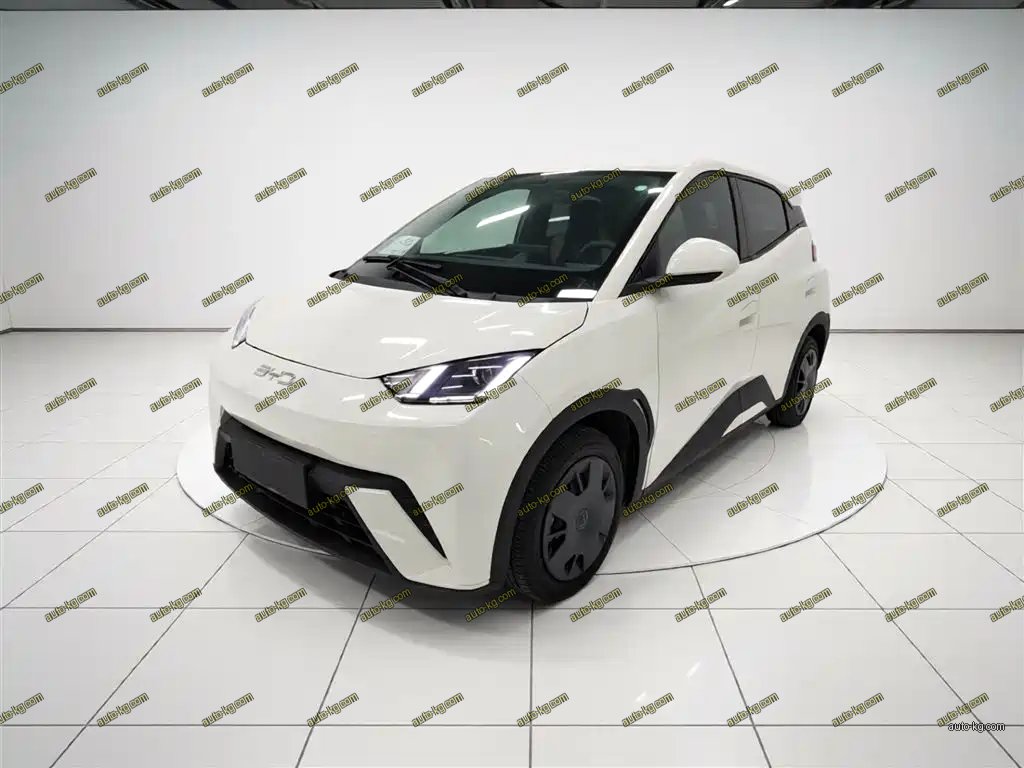 BYD Seagull 2025