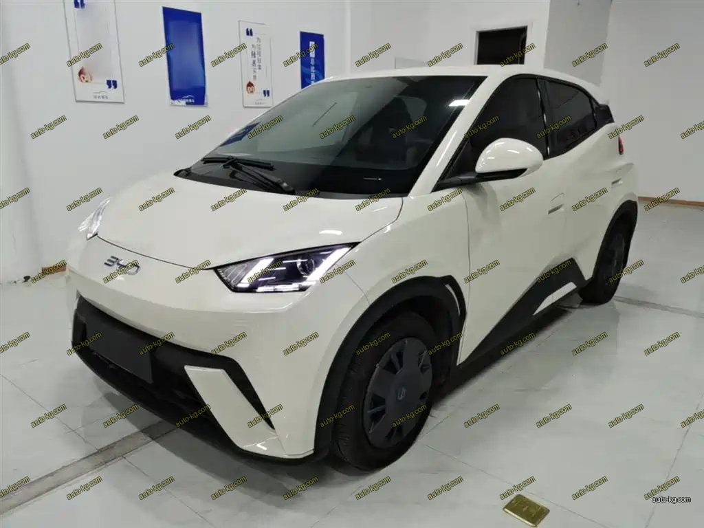 BYD Seagull 2025