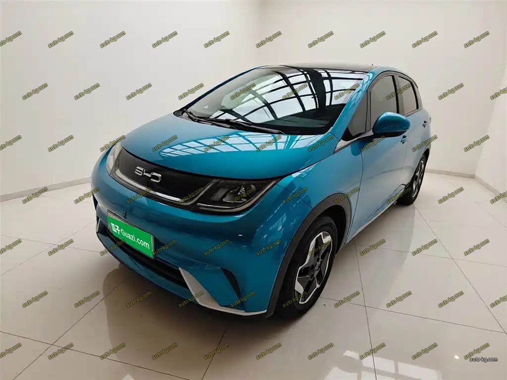 BYD Dolphin 2022