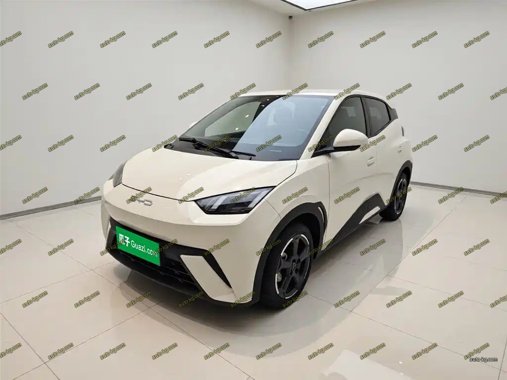 BYD Seagull 2024