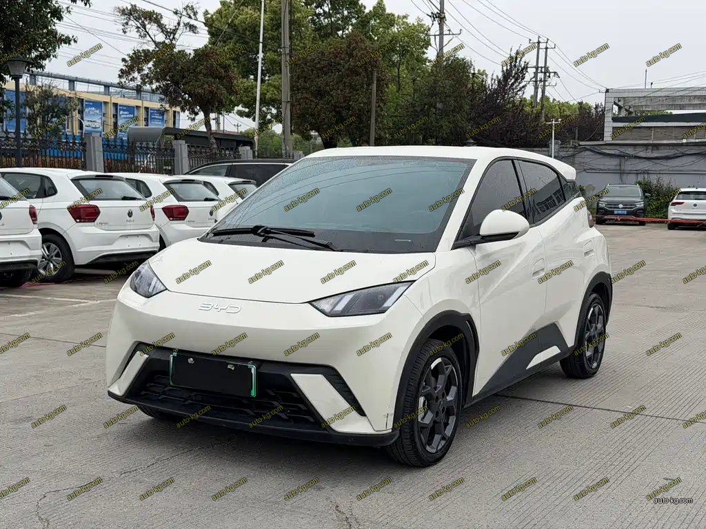 BYD Seagull 2024
