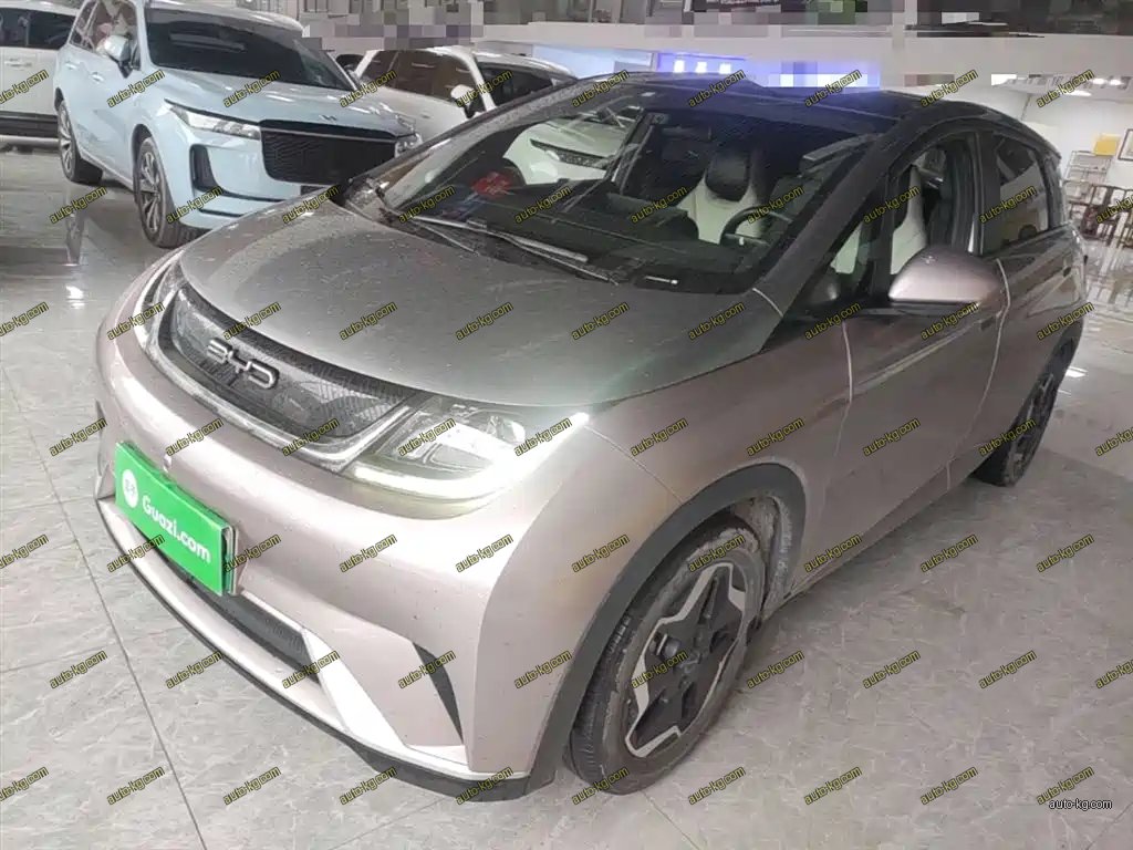 BYD Dolphin 2022