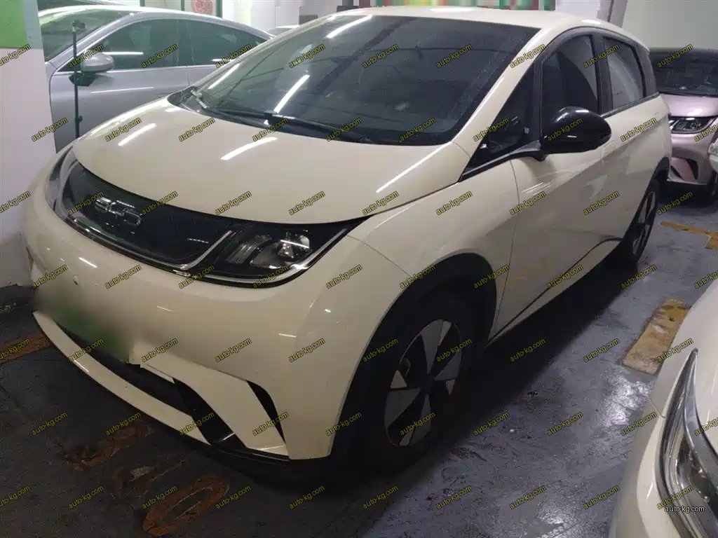 BYD Dolphin 2024