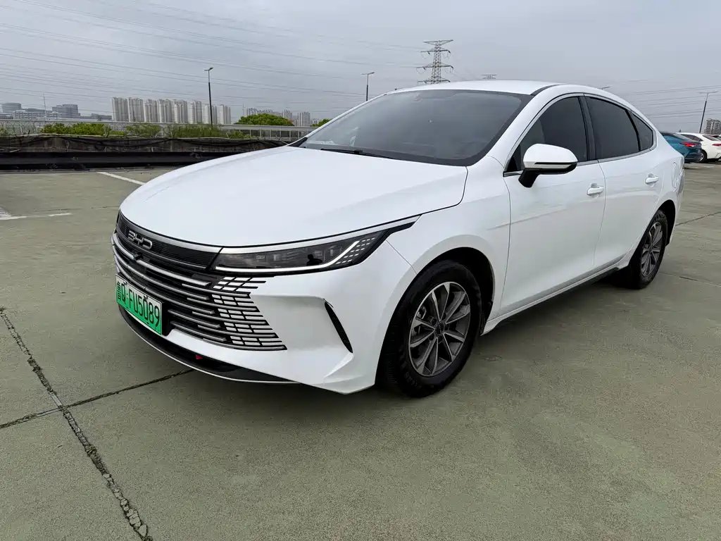 BYD Destroyer 05 2024