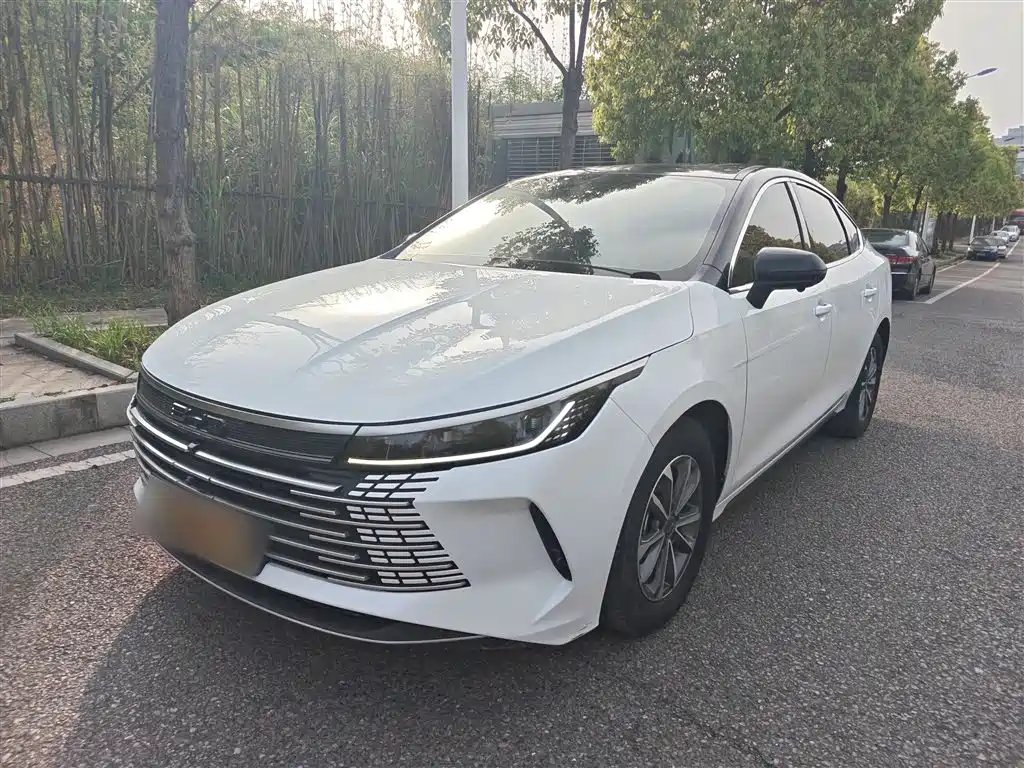 BYD Destroyer 05 2024