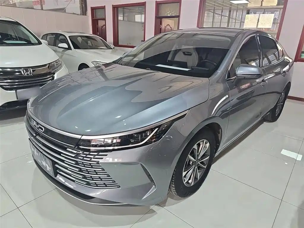 BYD Destroyer 05 2024