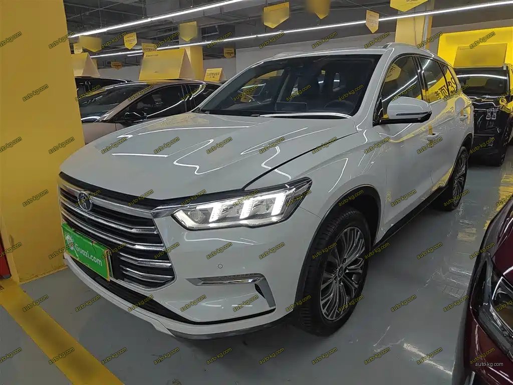 BYD Pro New Energy 2020