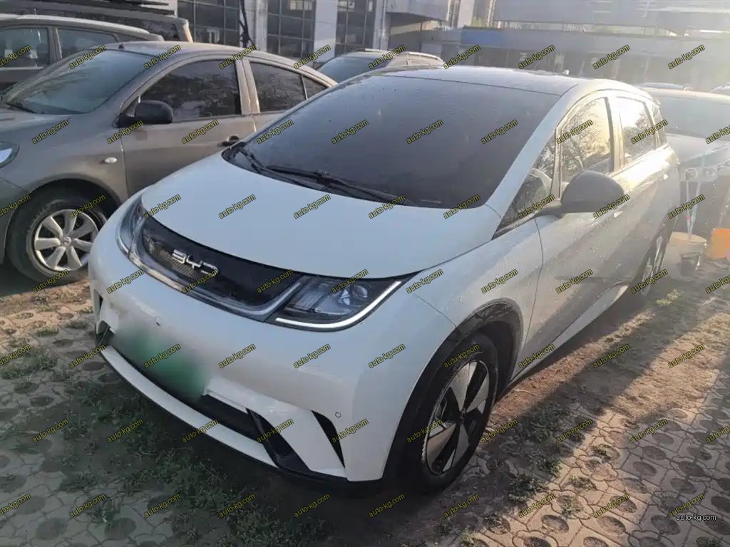 BYD Dolphin 2023