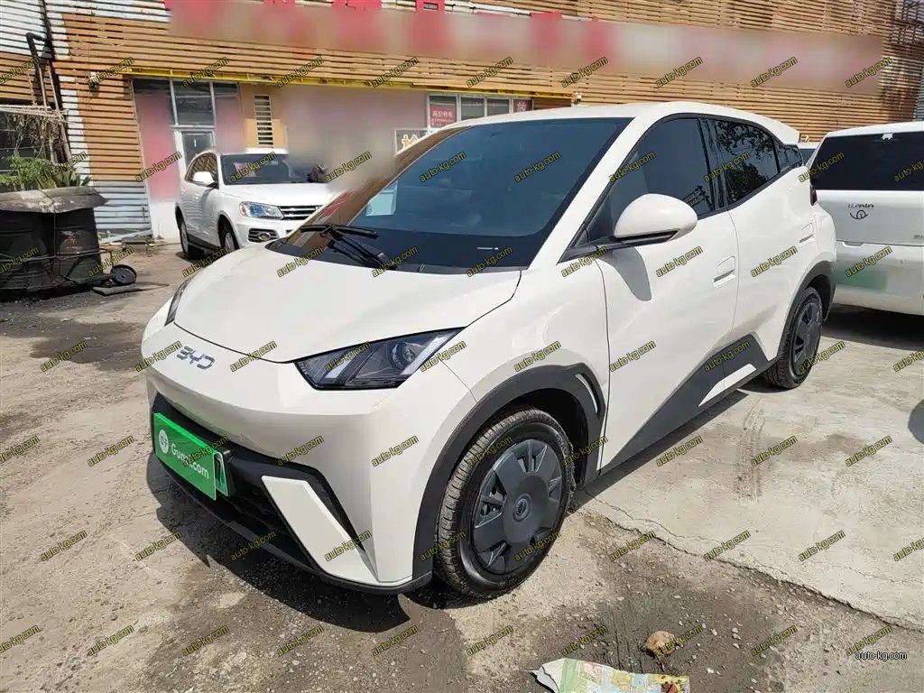 BYD Seagull 2025