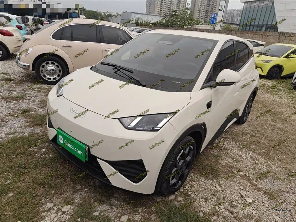 BYD Seagull 2025