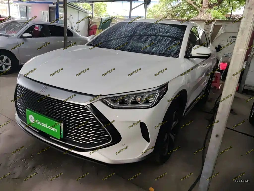 BYD PLUS New Energy 2022