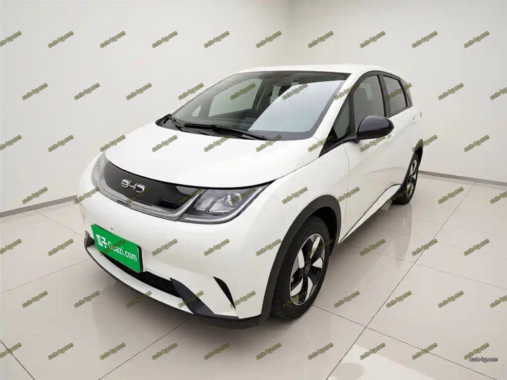 BYD Dolphin 2025