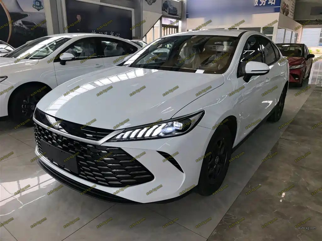 BYD Qin PLUS 2026