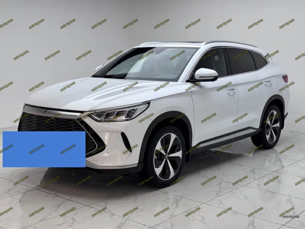 BYD PLUS New Energy 2022
