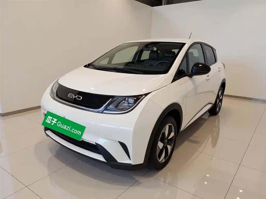 BYD Dolphin 2026