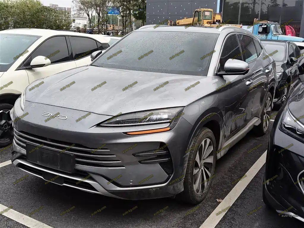 BYD PLUS New Energy 2024
