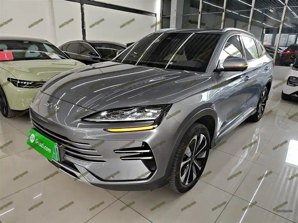BYD PLUS New Energy 2024