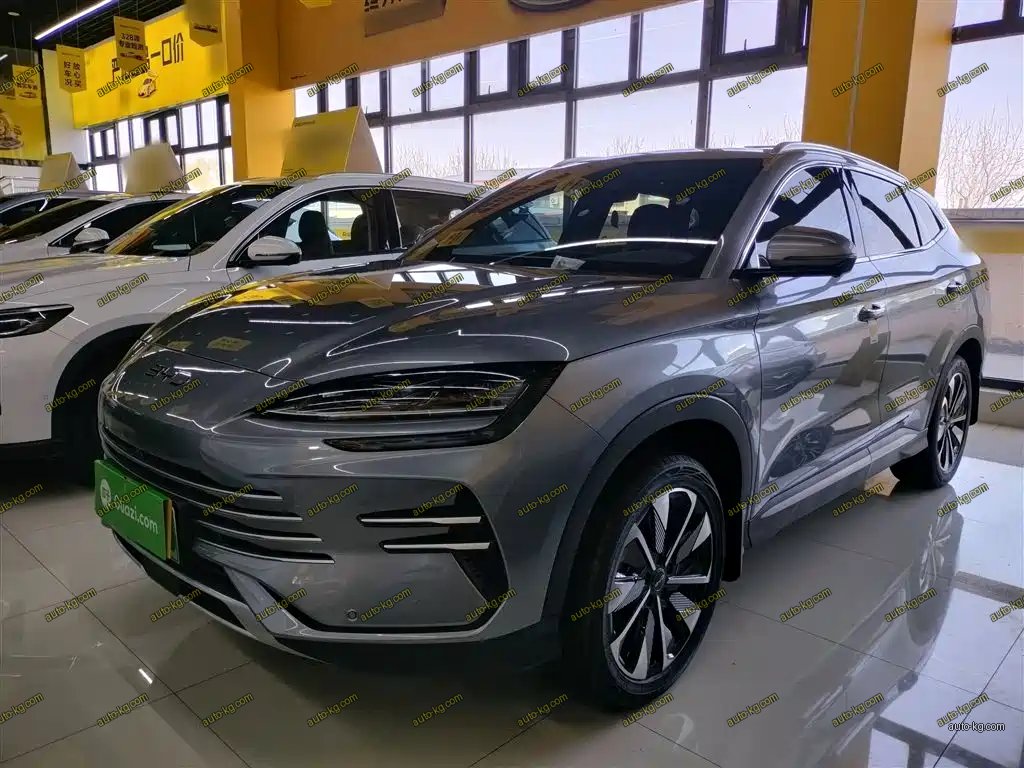 BYD PLUS New Energy 2025