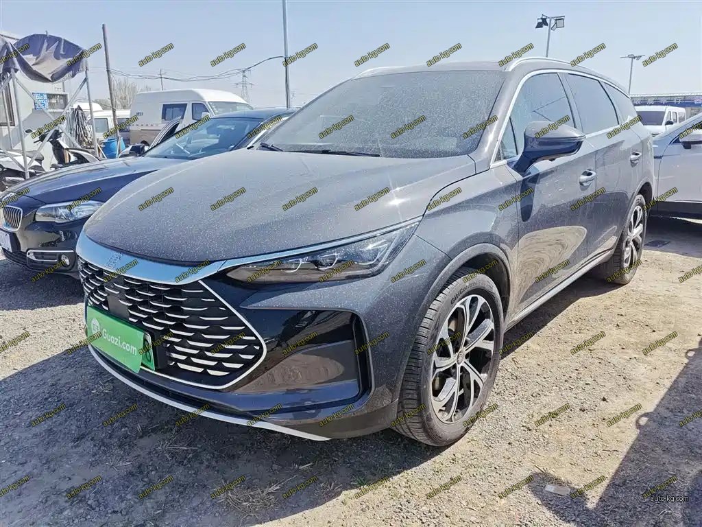BYD Tang New Energy 2024