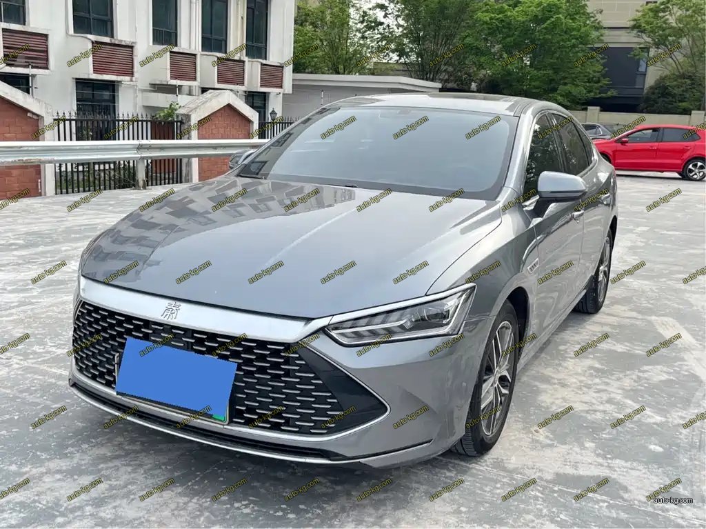 BYD Qin PLUS 2021