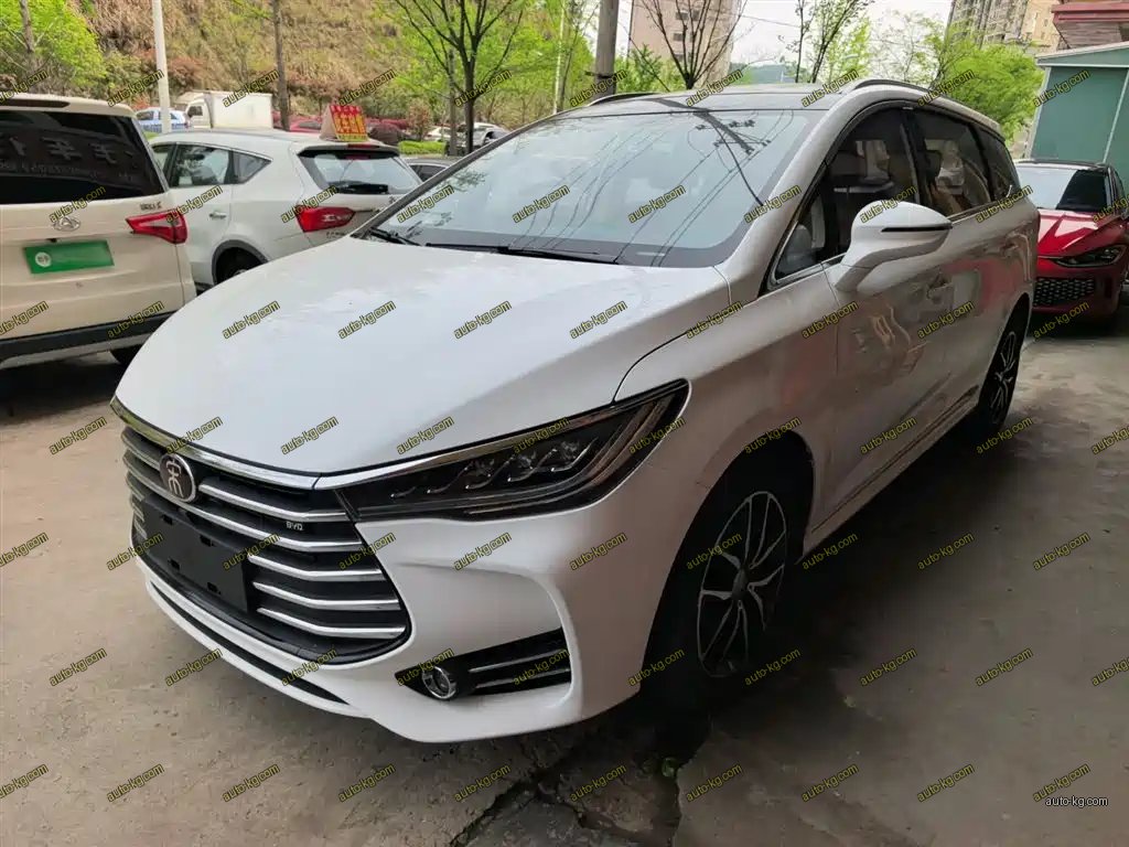 BYD MAX 2019