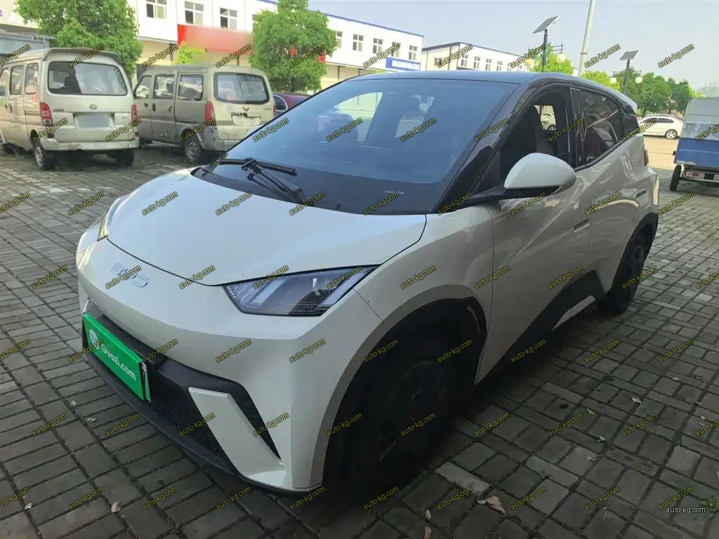 BYD Seagull 2024