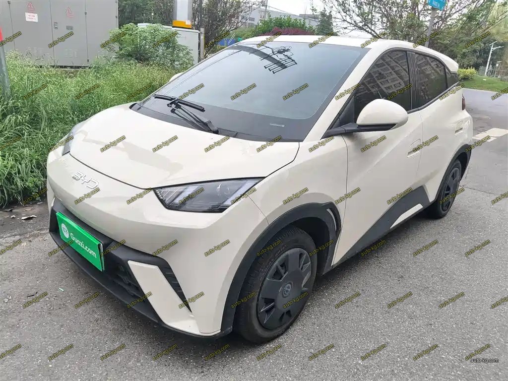 BYD Seagull 2024