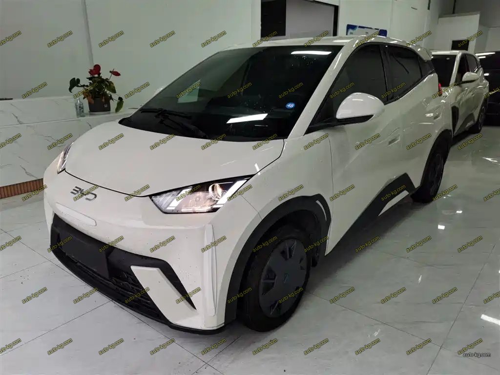 BYD Seagull 2025
