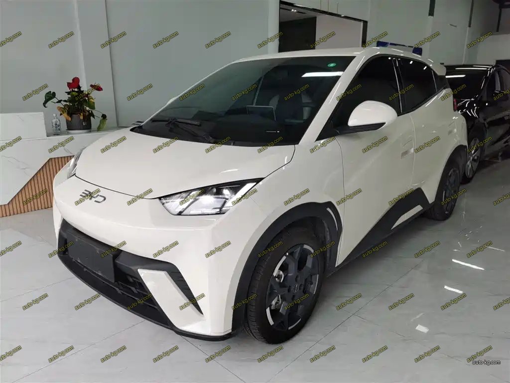 BYD Seagull 2025