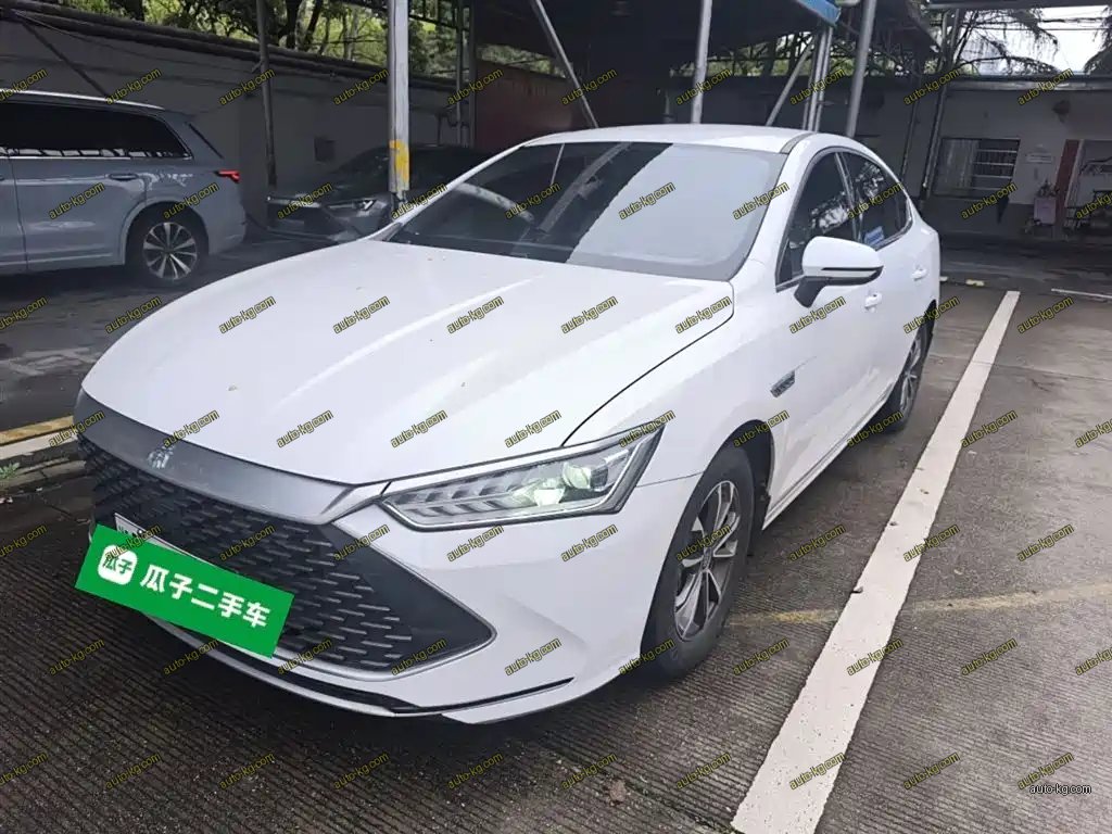 BYD Qin PLUS 2024