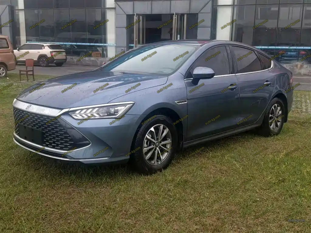 BYD Qin PLUS 2024