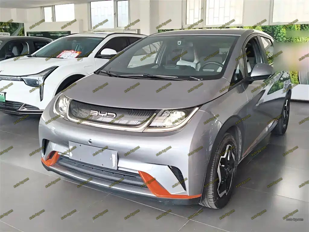 BYD Dolphin 2022