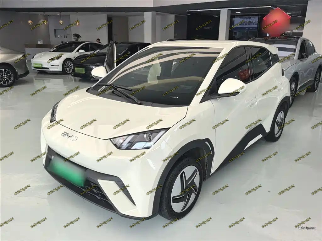 BYD Seagull 2025