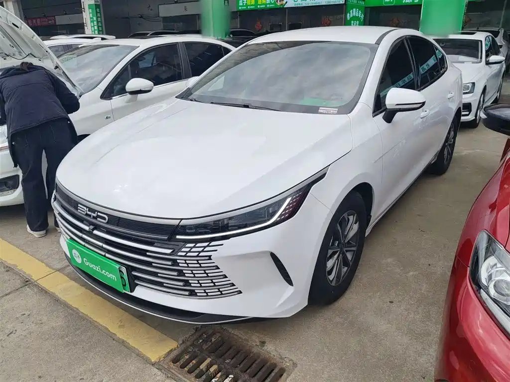 BYD Destroyer 05 2024