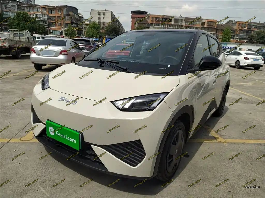 BYD Seagull 2025