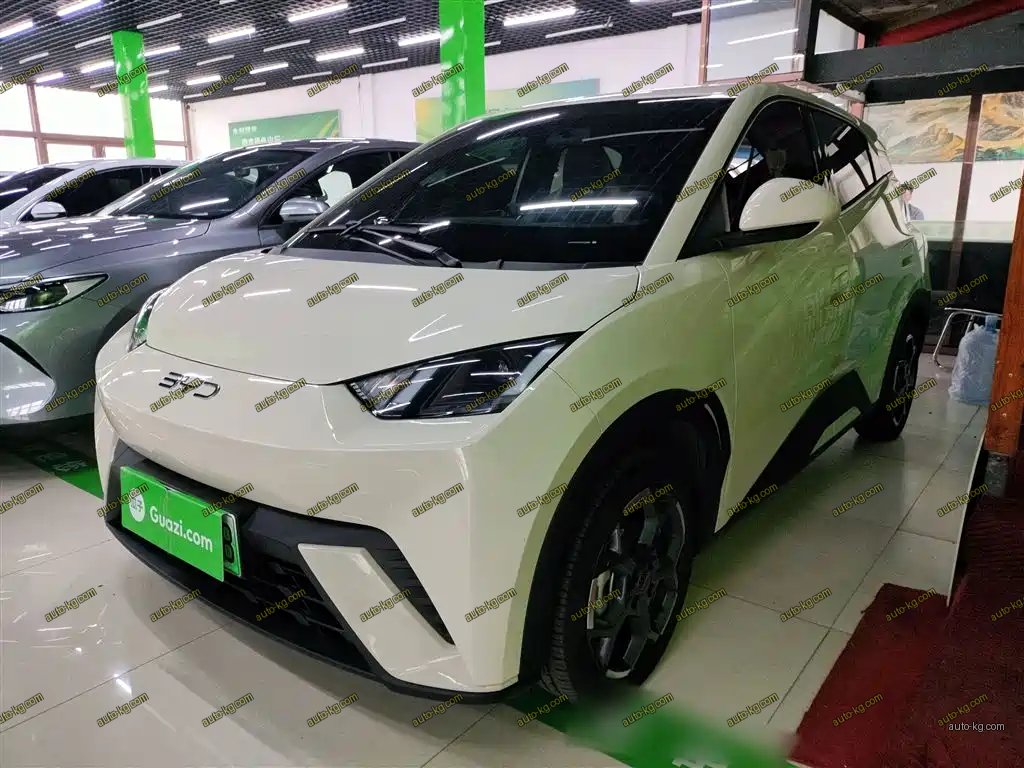 BYD Seagull 2025
