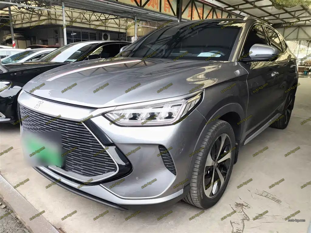 BYD PLUS New Energy 2022